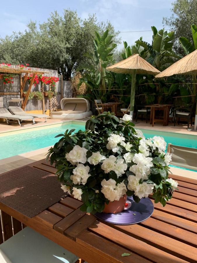 Bed and Breakfast L'Oasi Di Franco Villa San Pietro Екстер'єр фото
